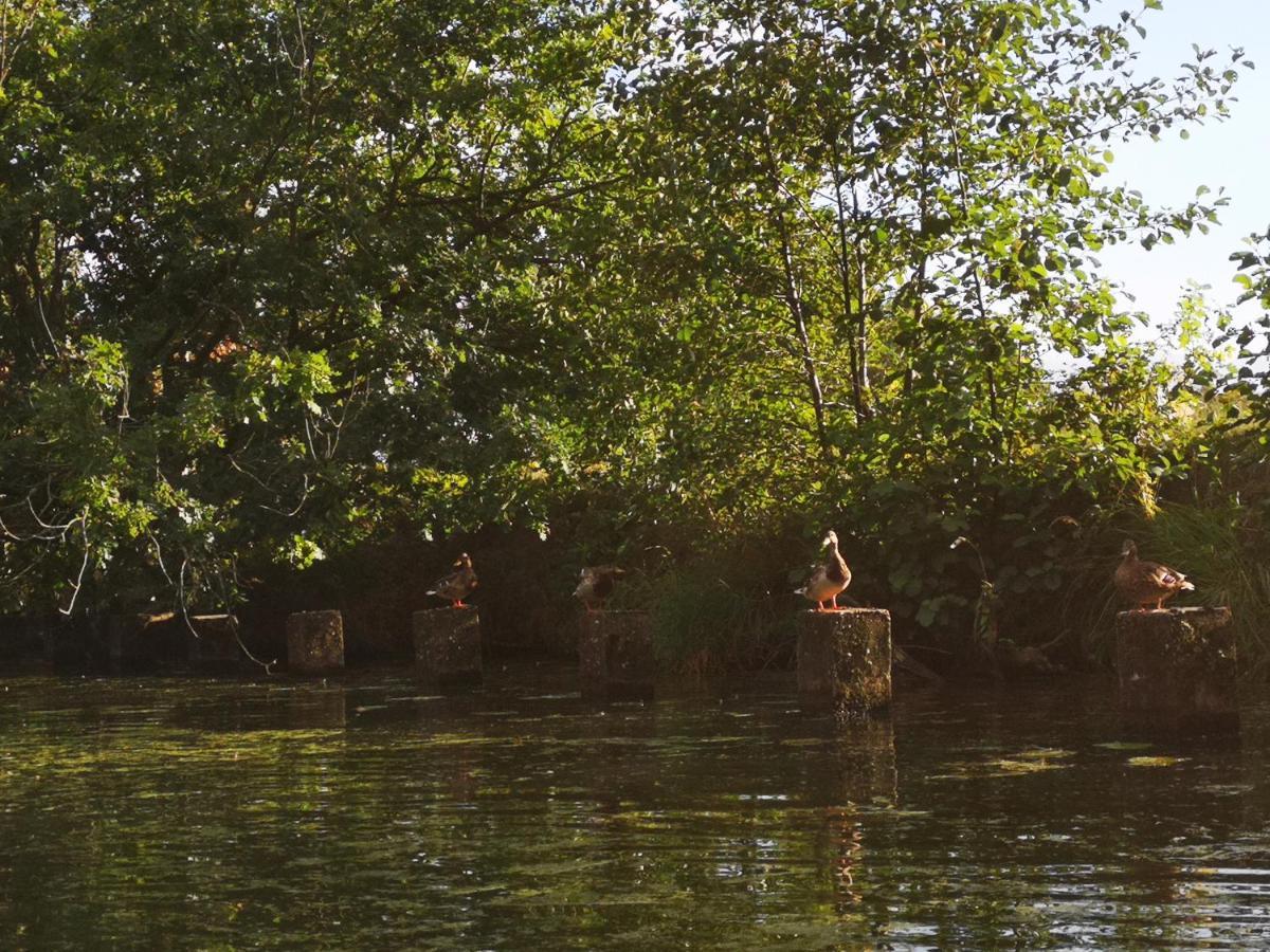 Spreewald Ferienwohnung Wollgast Lübben Exterior foto